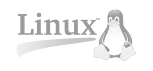 Infraestructura IT con Linux